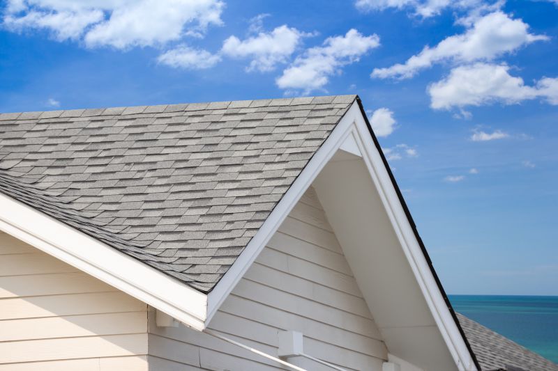 Roof Repair Consultation