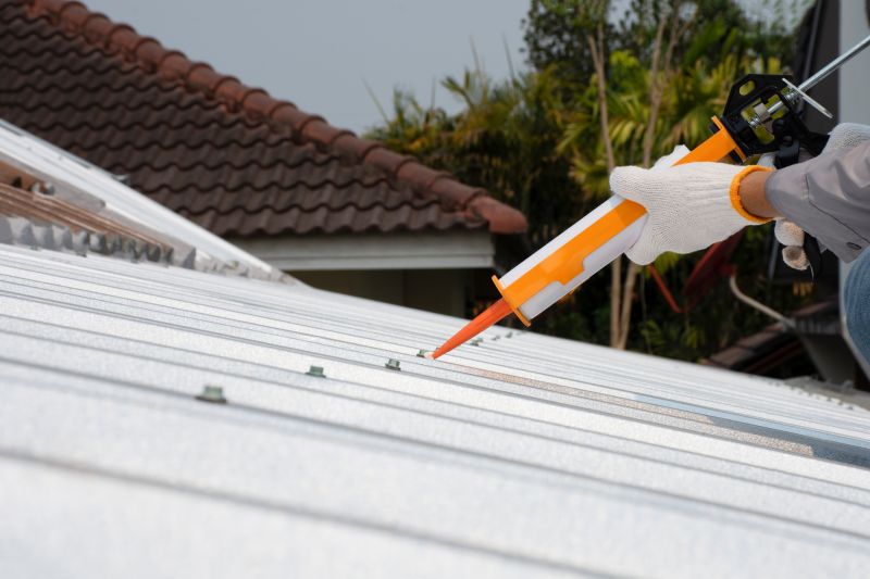 Roof Leak Detection Service